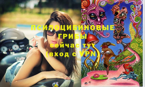 спайс Алзамай