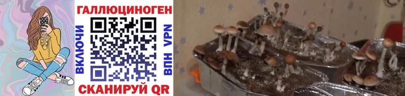 Галлюциногенные грибы мицелий Кириши