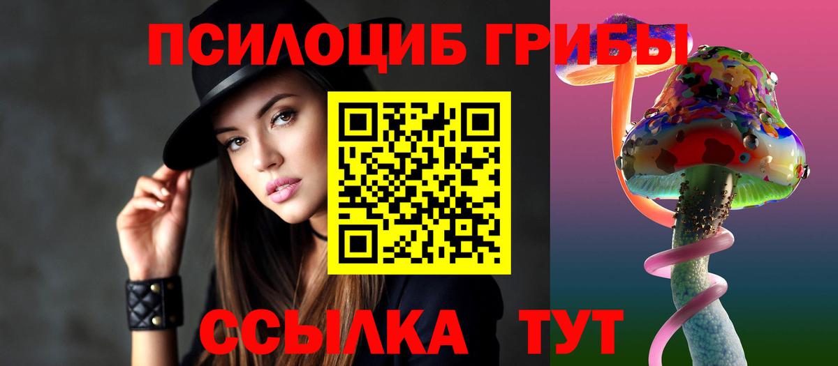 Псилоцибиновые грибы Psilocybe Кириши